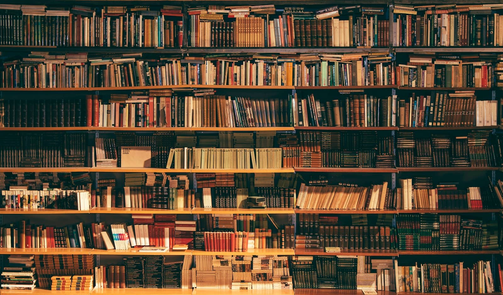 A quiet bookstore aisle with wooden shelves
